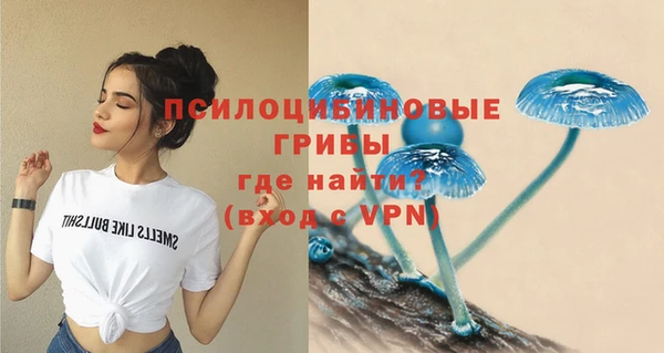 мяу мяу мука Аркадак