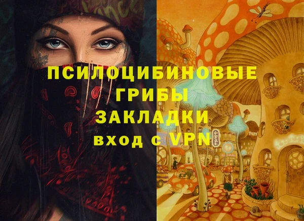 мдпв Армянск